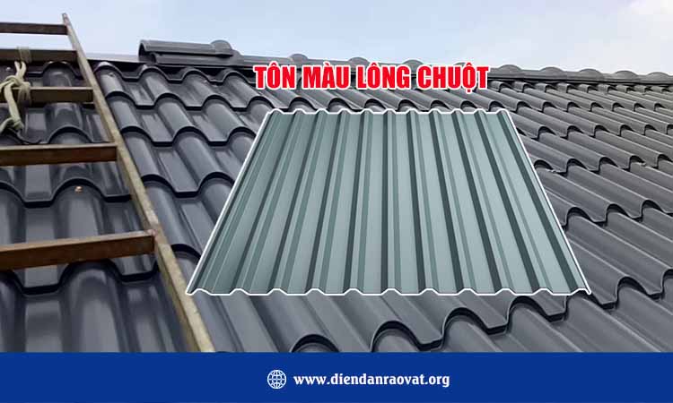 Tôn Màu Lông Chuột